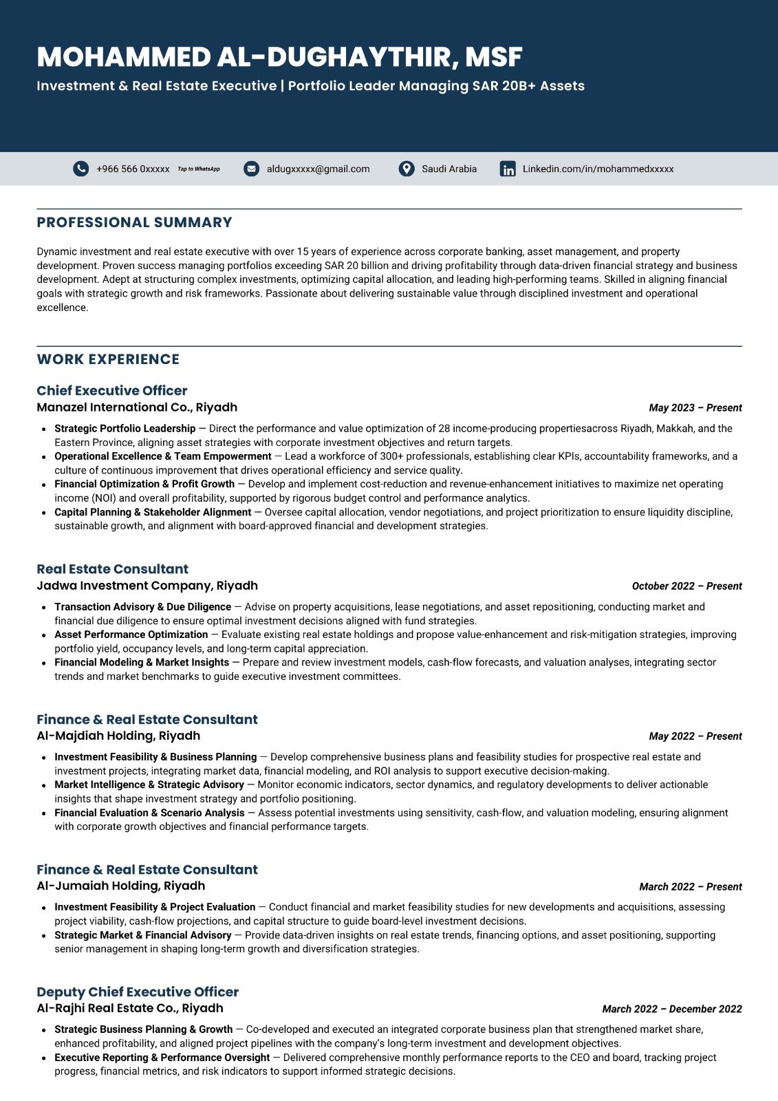 Investment & Real Estate Executive CV sample